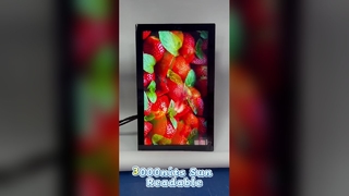 IP67 가혹한 환경을 위한 옥외 디지털 간판 방수 방진