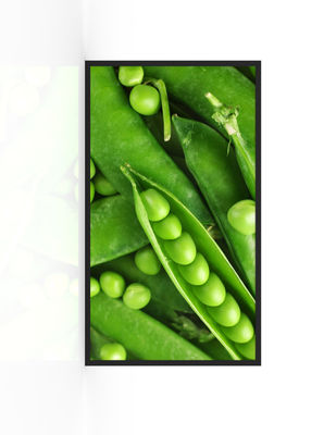 주문 3000nits 방수 디스플레이 광고 온라인 제조