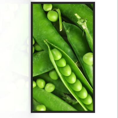 3000 니트 밝기의 55인치 IP67 방수 야외 디지털 사이니지 LCD 광고 기기